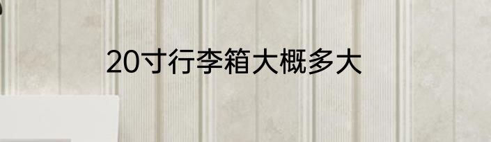 20寸行李箱大概多大
