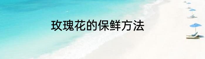 玫瑰花的保鲜方法
