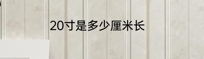20寸是多少厘米长