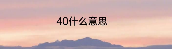 40什么意思