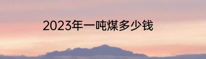 2023年一吨煤多少钱