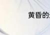 黄昏的近义词有哪些