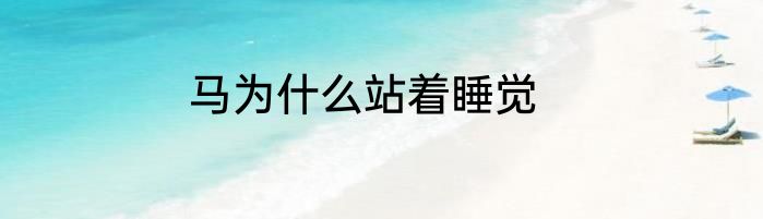 马为什么站着睡觉