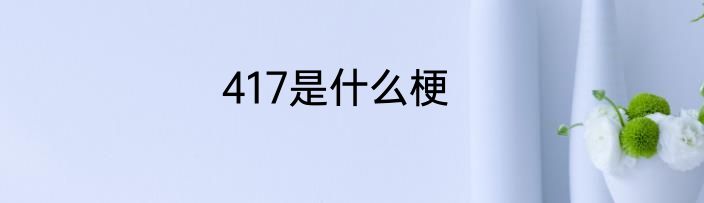 417是什么梗