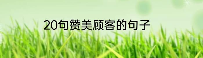 20句赞美顾客的句子
