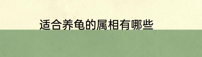 适合养龟的属相有哪些