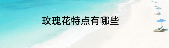 玫瑰花特点有哪些