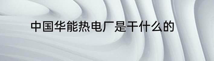 中国华能热电厂是干什么的