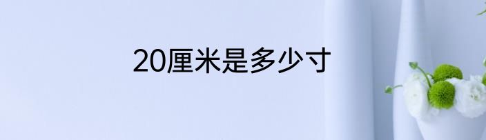 20厘米是多少寸