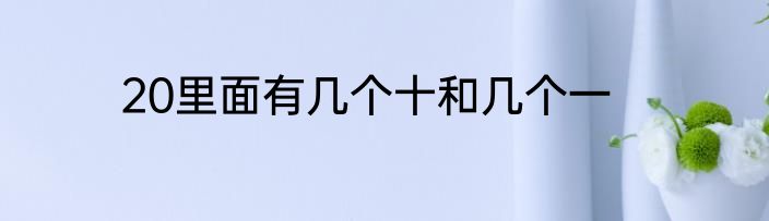 20里面有几个十和几个一