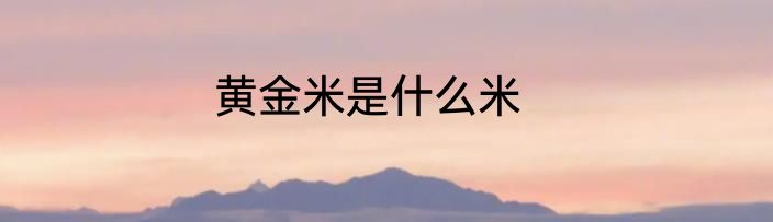 黄金米是什么米