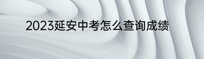 2023延安中考怎么查询成绩