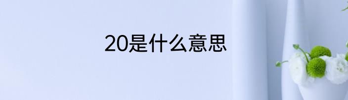 20是什么意思