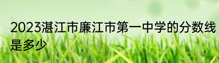 2023湛江市廉江市第一中学的分数线是多少
