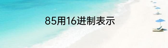 85用16进制表示