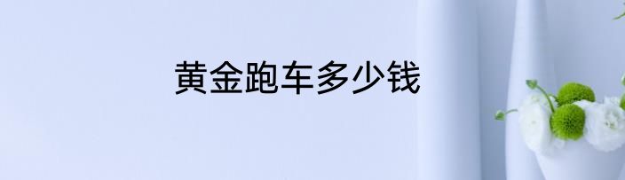 黄金跑车多少钱