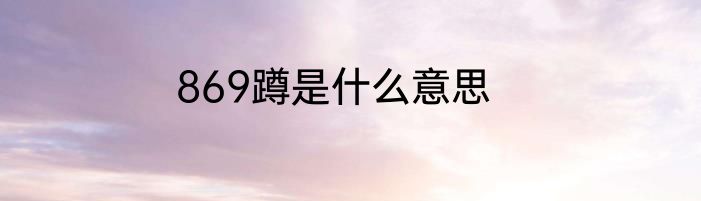 869蹲是什么意思