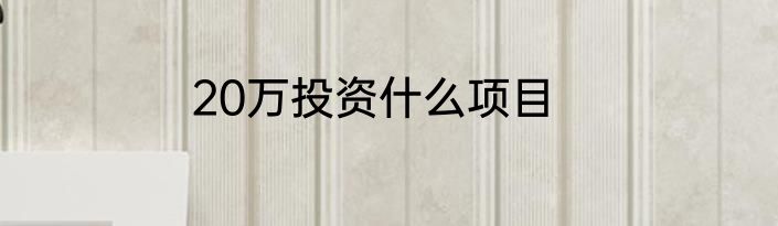 20万投资什么项目