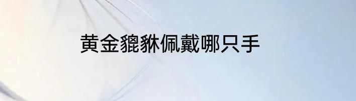 黄金貔貅佩戴哪只手