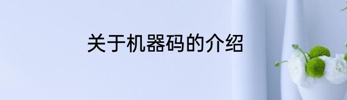 关于机器码的介绍