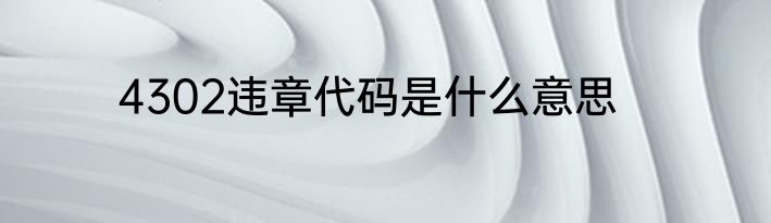 4302违章代码是什么意思