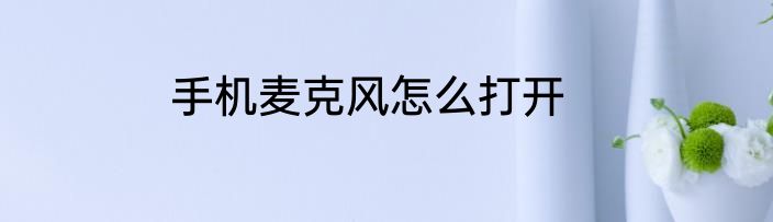手机麦克风怎么打开