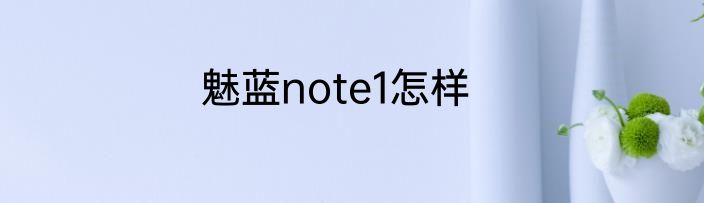 魅蓝note1怎样