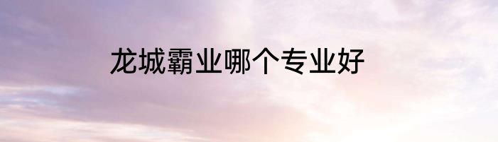 龙城霸业哪个专业好