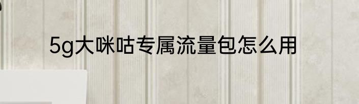 5g大咪咕专属流量包怎么用