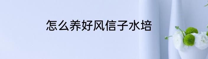 怎么养好风信子水培