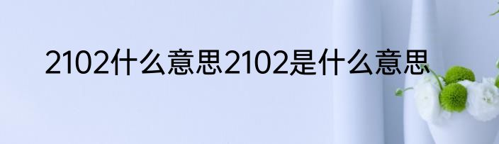 2102什么意思2102是什么意思
