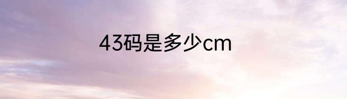 43码是多少cm