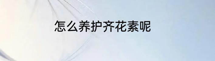 怎么养护齐花素呢