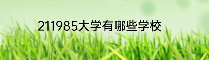 211985大学有哪些学校