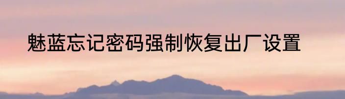 魅蓝忘记密码强制恢复出厂设置
