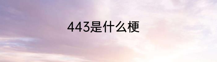 443是什么梗