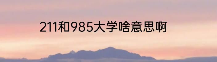 211和985大学啥意思啊
