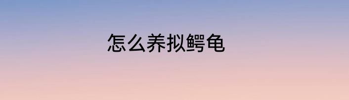 怎么养拟鳄龟