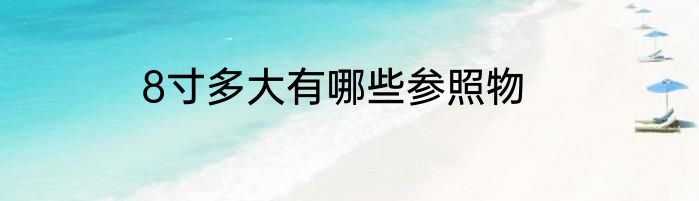 8寸多大有哪些参照物