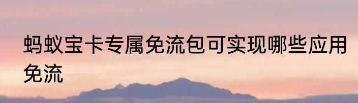 蚂蚁宝卡专属免流包可实现哪些应用免流