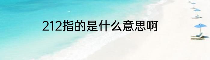 212指的是什么意思啊