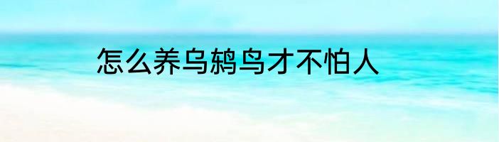 怎么养乌鸫鸟才不怕人