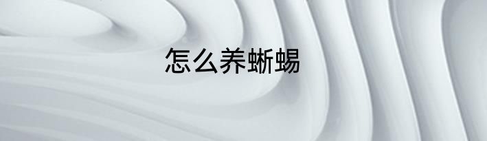 怎么养蜥蜴
