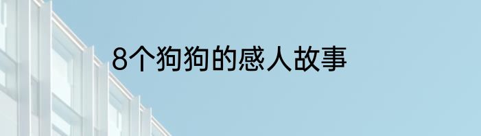 8个狗狗的感人故事