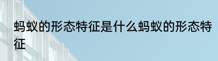 蚂蚁的形态特征是什么蚂蚁的形态特征
