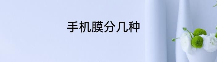 手机膜分几种