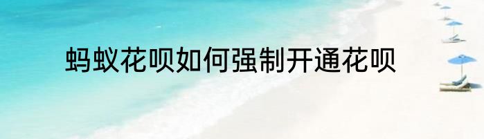 蚂蚁花呗如何强制开通花呗