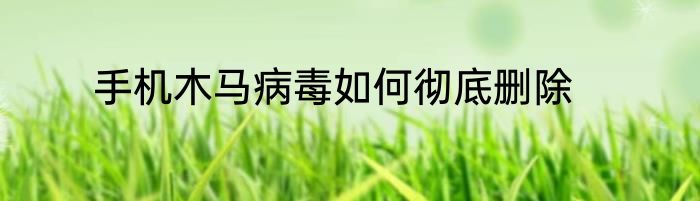 手机木马病毒如何彻底删除