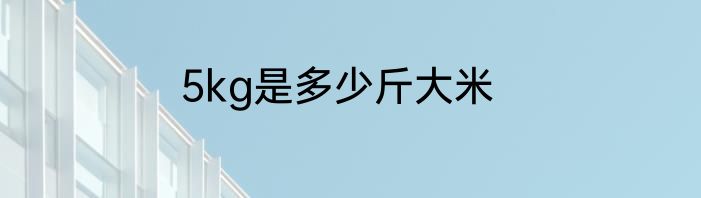 5kg是多少斤大米