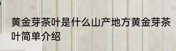 黄金芽茶叶是什么山产地方黄金芽茶叶简单介绍